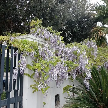 A Casa Di Gio * Λέτσε